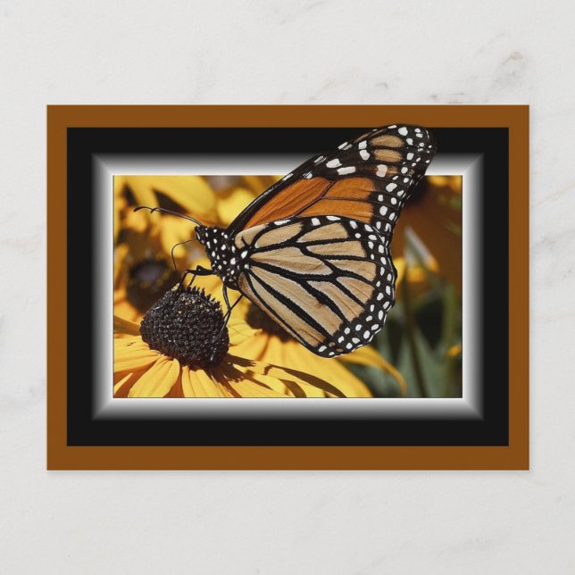 CARTE POSTALE 3D BUTTERFLY (Devant)