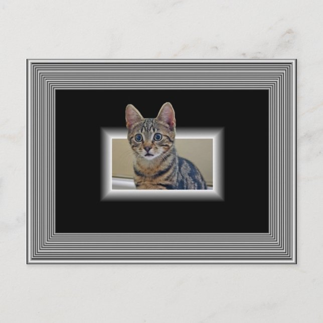 CARTE POSTALE 3D KITTY (Devant)