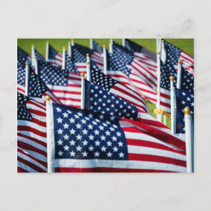 Carte Postale 400 drapeaux flottant fièrement dans un champ