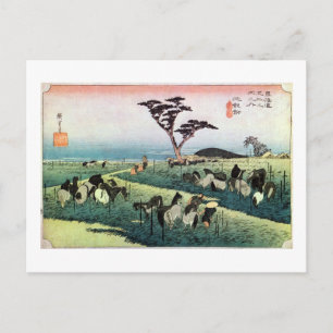 CARTE POSTALE 40. 池 鯉 鮒 宿, 広