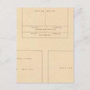 Carte Postale 41 Éléments de la population 1900