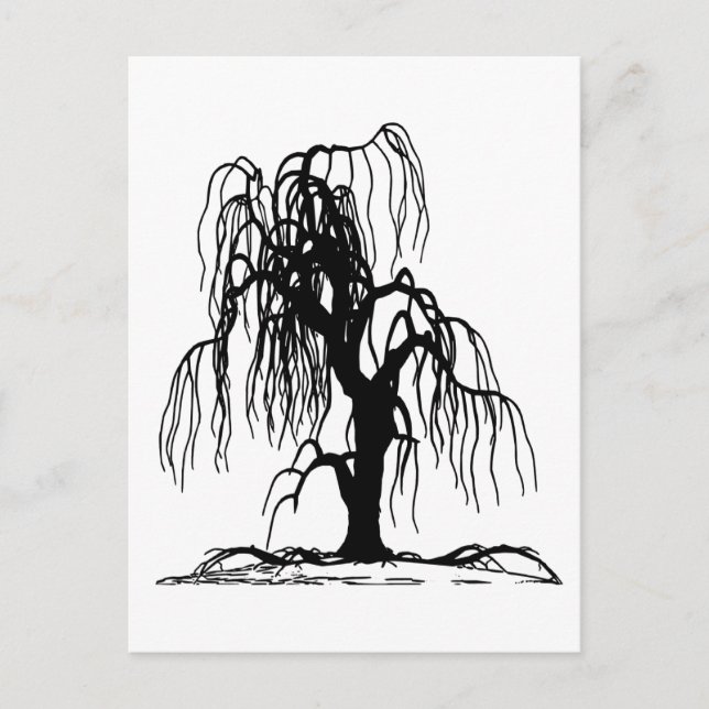 CARTE POSTALE 4920 SAULE PLEUREUR EFFRAYANT ARBRE SILHOUETTE NOI (Devant)