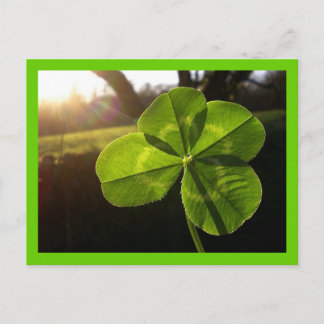 Carte postale 4 feuilles