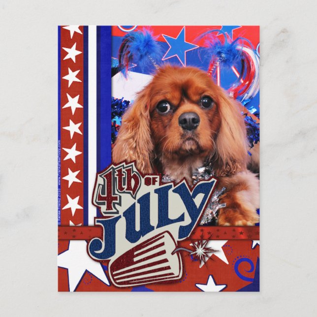 Carte Postale 4 juillet - Cavalier King Charles Spaniel - Cooper (Devant)
