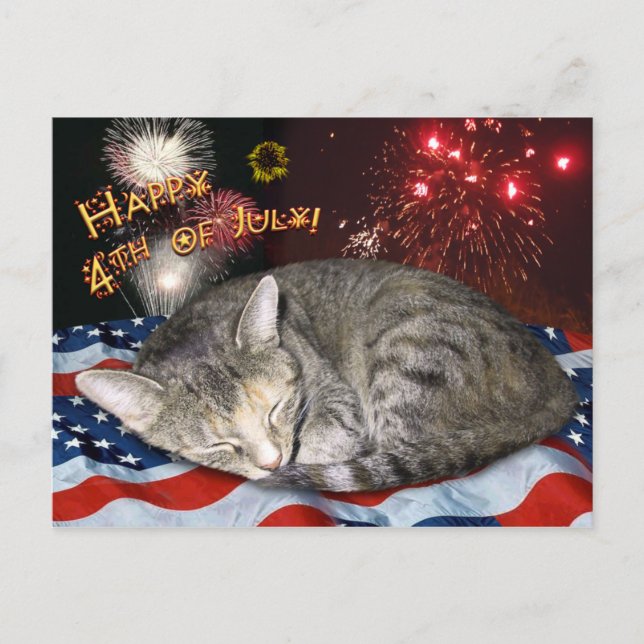 Carte Postale 4 juillet Chat et feux d'artifice (Devant)