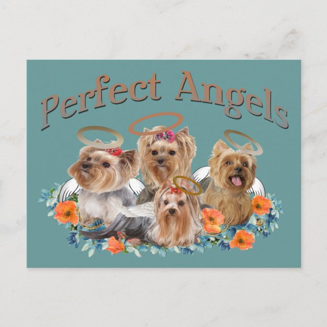 Carte Postale 4 Yorkie Cadeaux parfaits Angles (Devant)