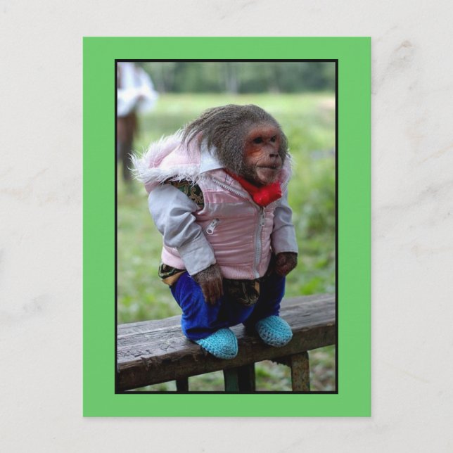 CARTE POSTALE 52170 (Devant)