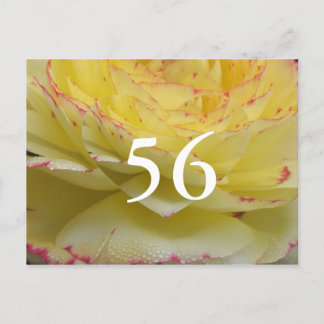 Carte Postale 56e anniversaire