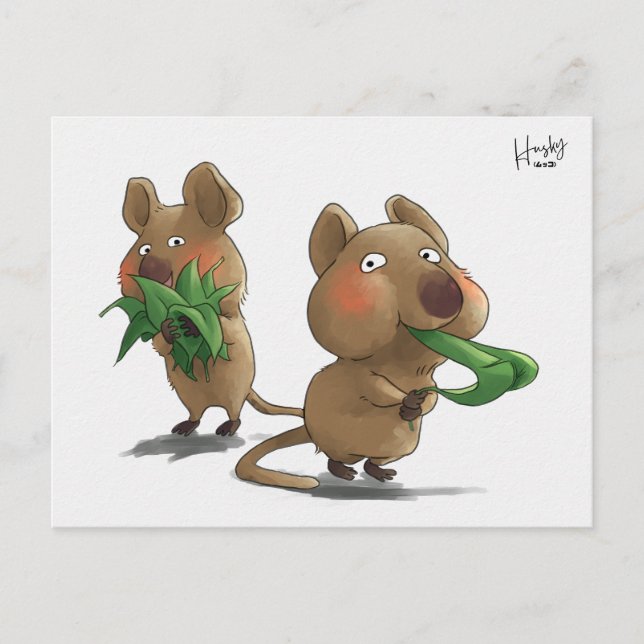 Carte Postale 58 : Quokkas (Devant)