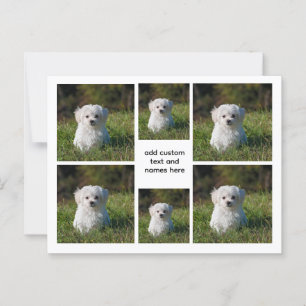 Carte Postale 6 Collage photo - Grille blanche esthétique, minim