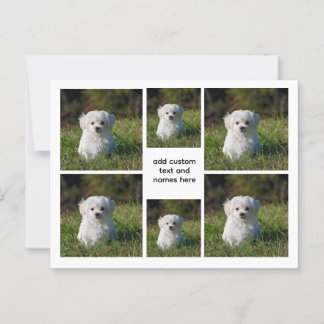 Carte Postale 6 Collage photo - Grille blanche esthétique, minim