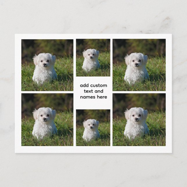 Carte Postale 6 Collage photo - Grille blanche esthétique, minim (Devant)