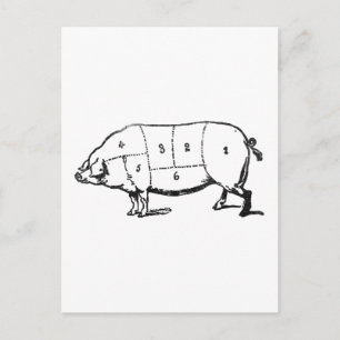 Carte Postale 6 Degrés de balise