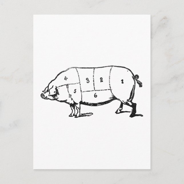 Carte Postale 6 Degrés de balise (Devant)