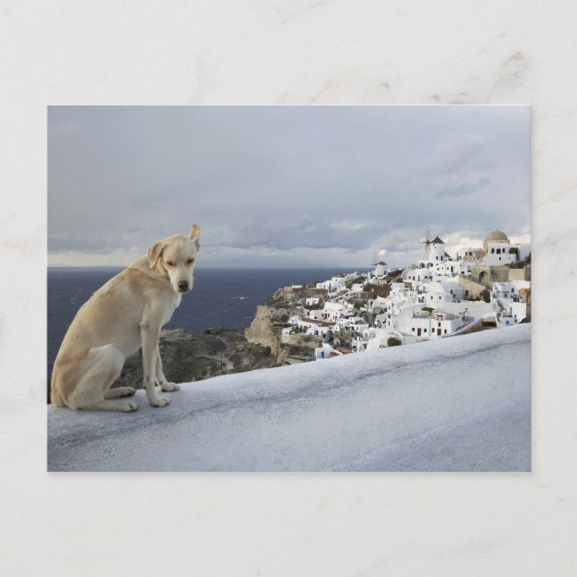 Carte Postale 6-nov (Devant)