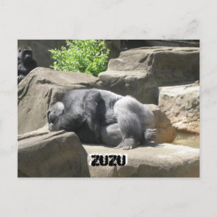 Carte Postale 7 mars 927, ZuZu, ZuZu