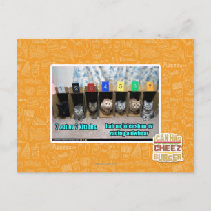 Carte Postale 7 out ov 7 kittehs