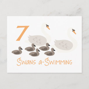 Carte Postale 7 Swans a Natation