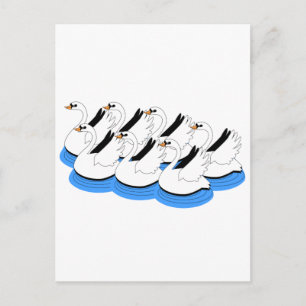 Carte Postale 7 Swans Natation