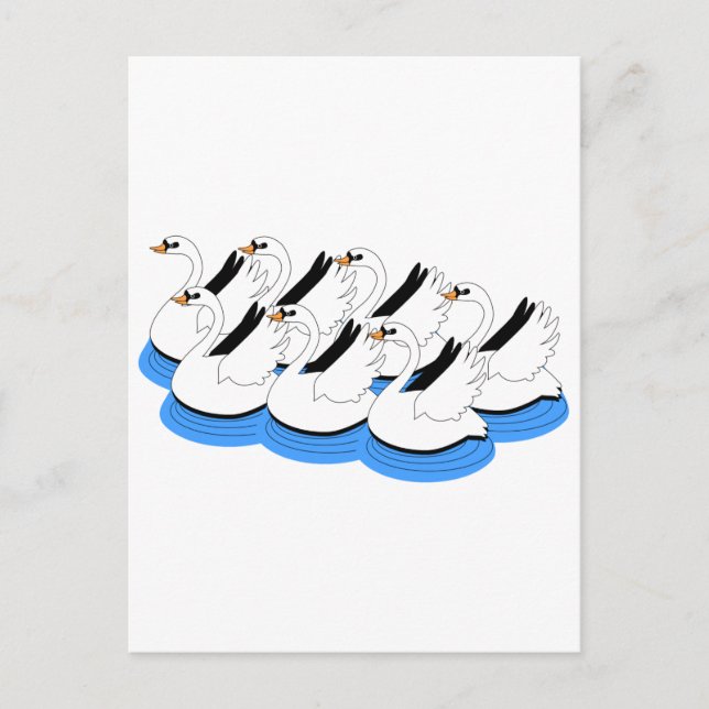 Carte Postale 7 Swans Natation (Devant)