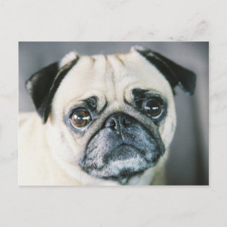 CARTE POSTALE 850203-R1-017-7