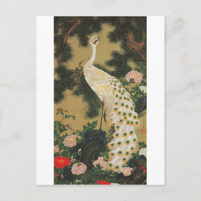 Carte Postale 9. 老松孔雀図, pin de 若冲 vieux et paon, Jakuchu (Devant)