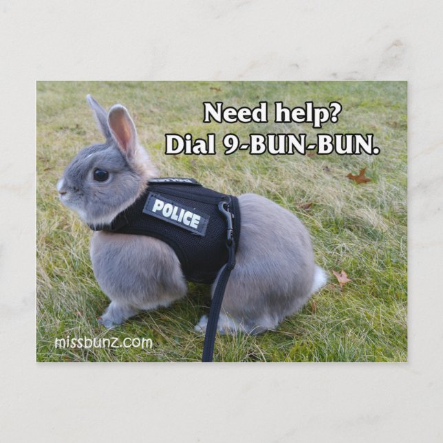 Carte postale 9 Bun Bun (Devant)