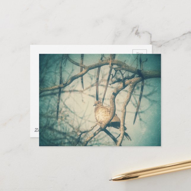 Carte Postale A beautiful Dove (Devant/Arrière en situation)