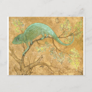 Carte Postale A Chameleon par Ustad Mansur