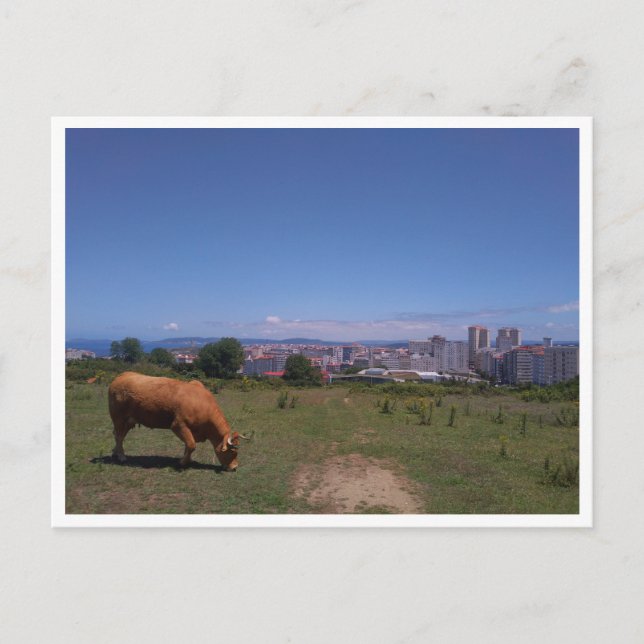 Carte Postale A Coruna, Galice (Espagne) (Devant)