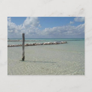 Carte Postale À couper le souffle...