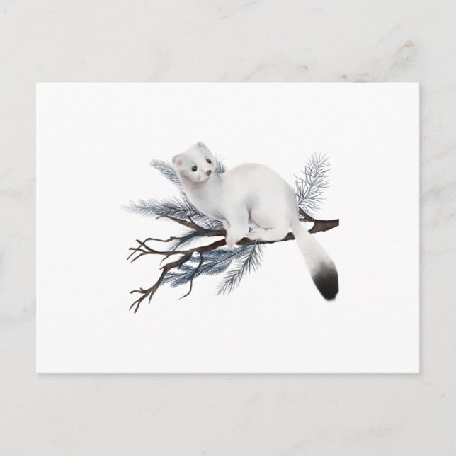 Carte Postale A cute winter weasel perched on a branch (Devant)