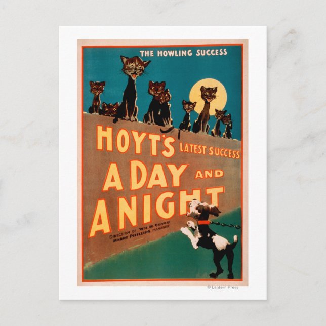 Carte Postale "A Day and a Night" Chats et Chiens Musique (Devant)