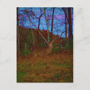 Carte Postale A Deer : Gold Red Green et Blue
