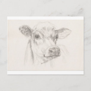 Carte Postale A drawing of a young cow