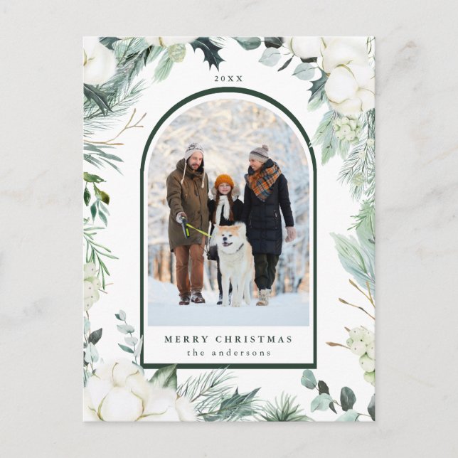 Carte Postale À feuillage persistant & Fleurs de coton Arch Phot (Devant)