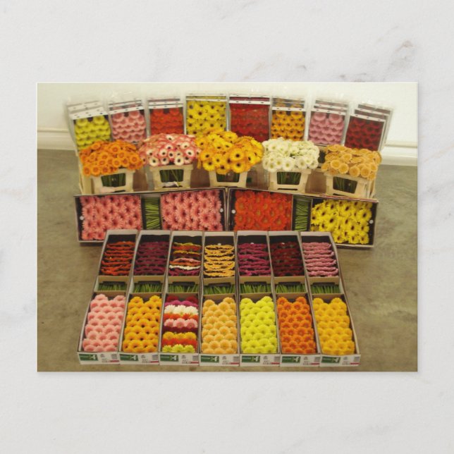 Carte postale à fleurs 86 (Devant)