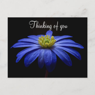 Carte postale à fleurs bleues
