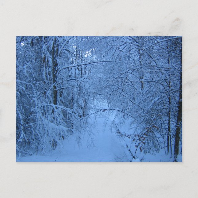 Carte Postale A Forest en hiver (Devant)