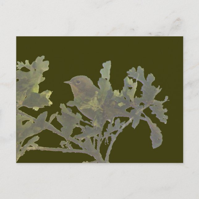 Carte postale à gorge jaune commune (Devant)