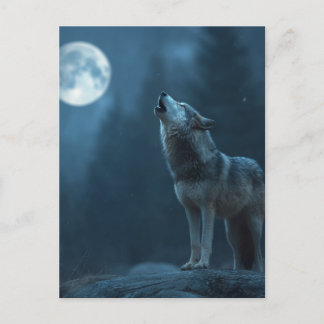 Carte Postale A Howling Wolf