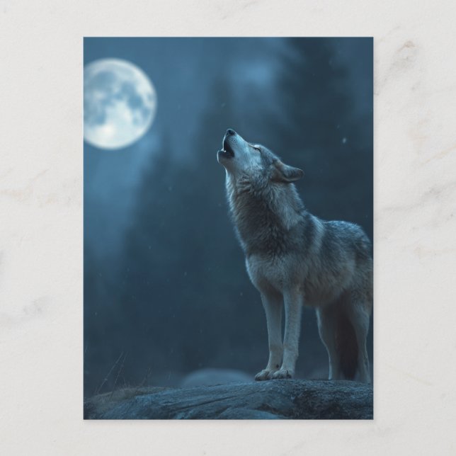 Carte Postale A Howling Wolf (Devant)