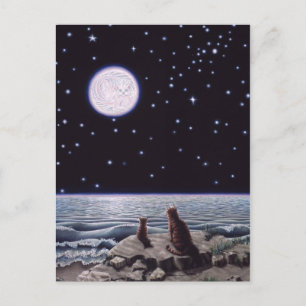 Carte Postale À la lumière de la lune de poisson de chat