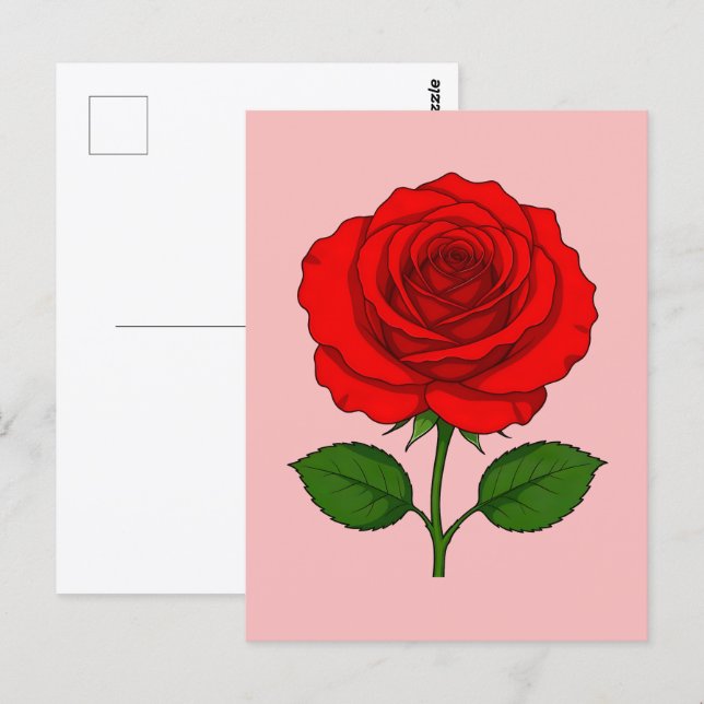Carte postale à la rose rouge (Devant / Derrière)