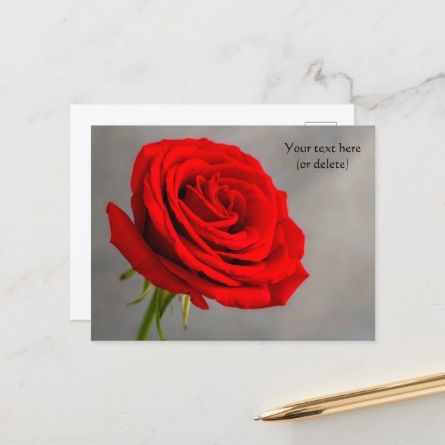 Carte postale à la rose rouge unique (Devant/Arrière en situation)