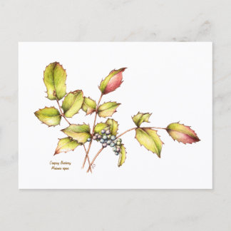 Carte postale à l'aquarelle de l'épine-vinette à f