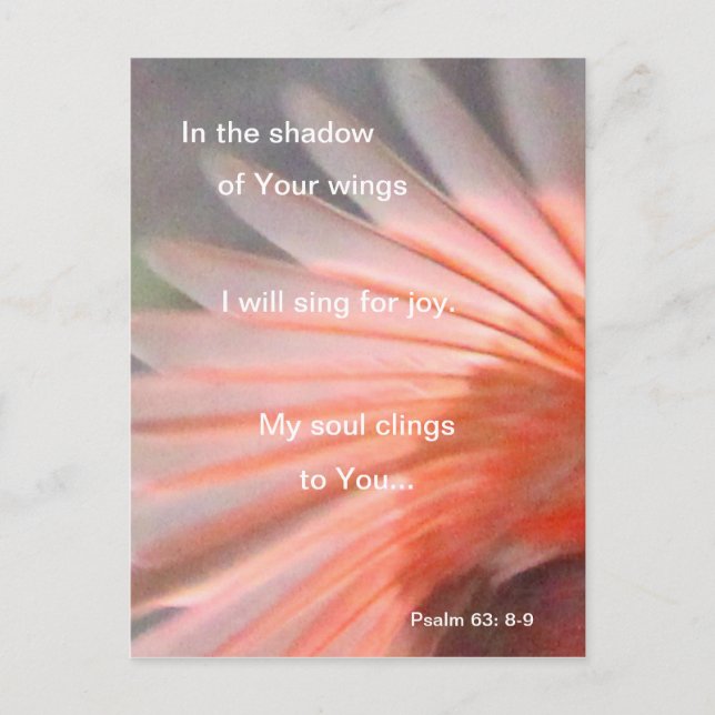 Carte Postale À l'ombre de ses ailes (Devant)