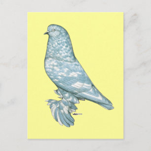 Carte Postale À l'ouest de l'Angleterre Tumbler :  Lavender Mott