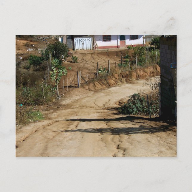 Carte Postale A Lovely Day In the Neighborhood (Devant)