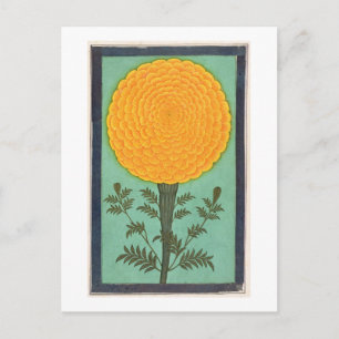 Carte Postale A Marigold, de l'album Small Clive (avec c/c sur p